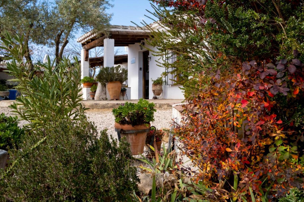 Refugio Andaluz Con Piscina Entre Olivos Villanueva de Tapia Exterior photo