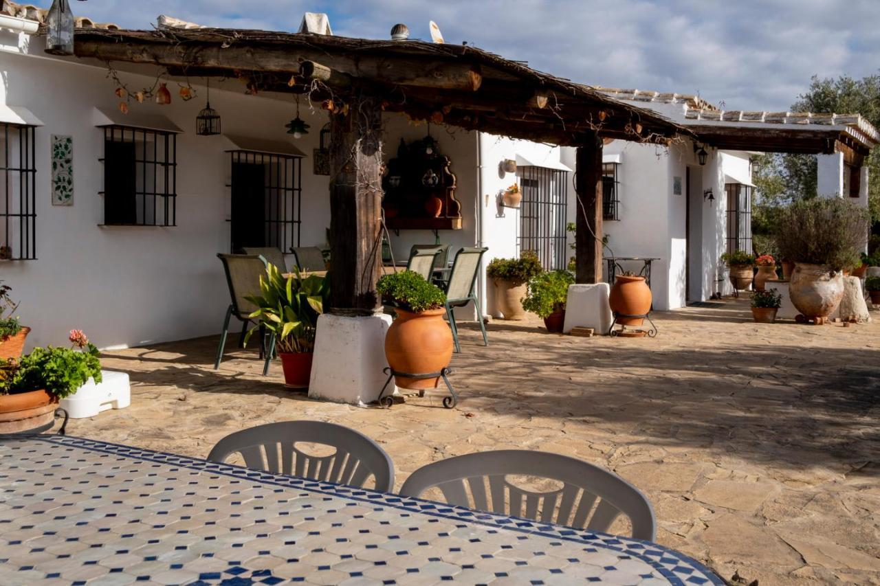 Refugio Andaluz Con Piscina Entre Olivos Villanueva de Tapia Exterior photo