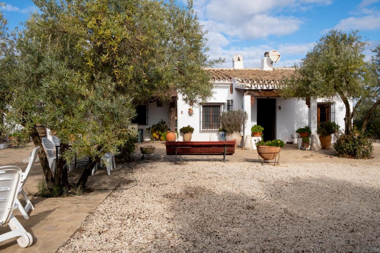 Refugio Andaluz Con Piscina Entre Olivos Villanueva de Tapia Exterior photo