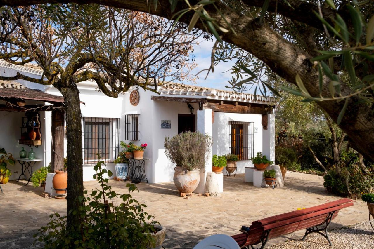 Refugio Andaluz Con Piscina Entre Olivos Villanueva de Tapia Exterior photo