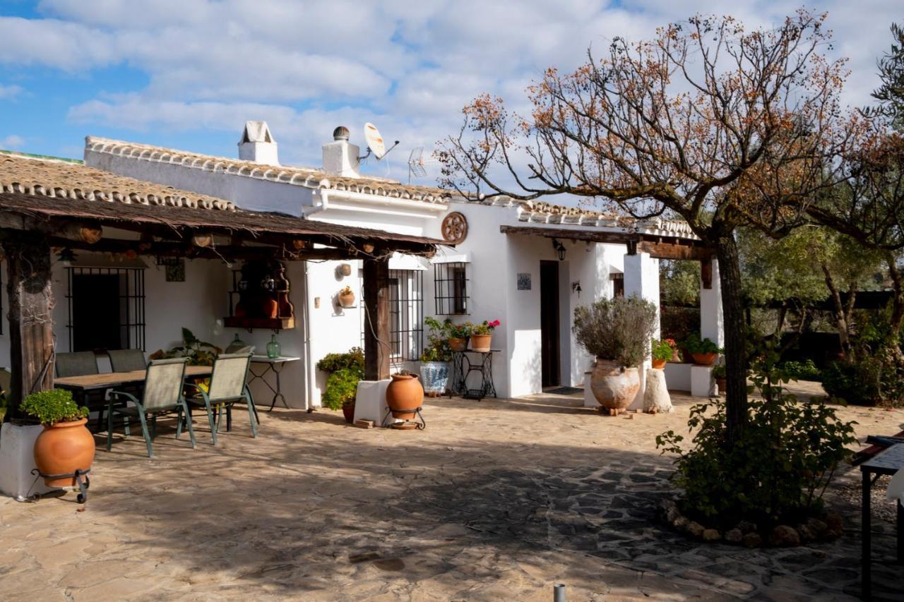 Refugio Andaluz Con Piscina Entre Olivos Villanueva de Tapia Exterior photo