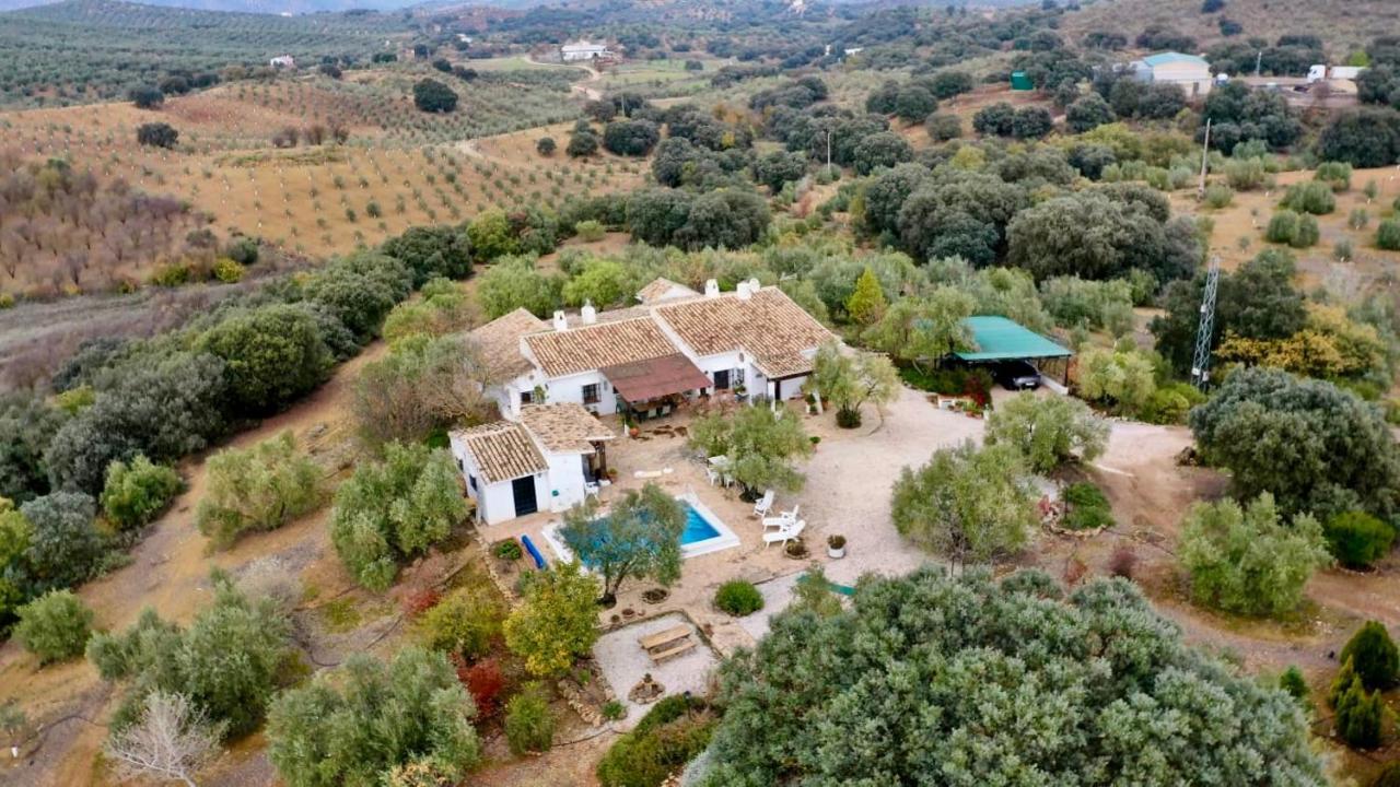 Refugio Andaluz Con Piscina Entre Olivos Villanueva de Tapia Exterior photo