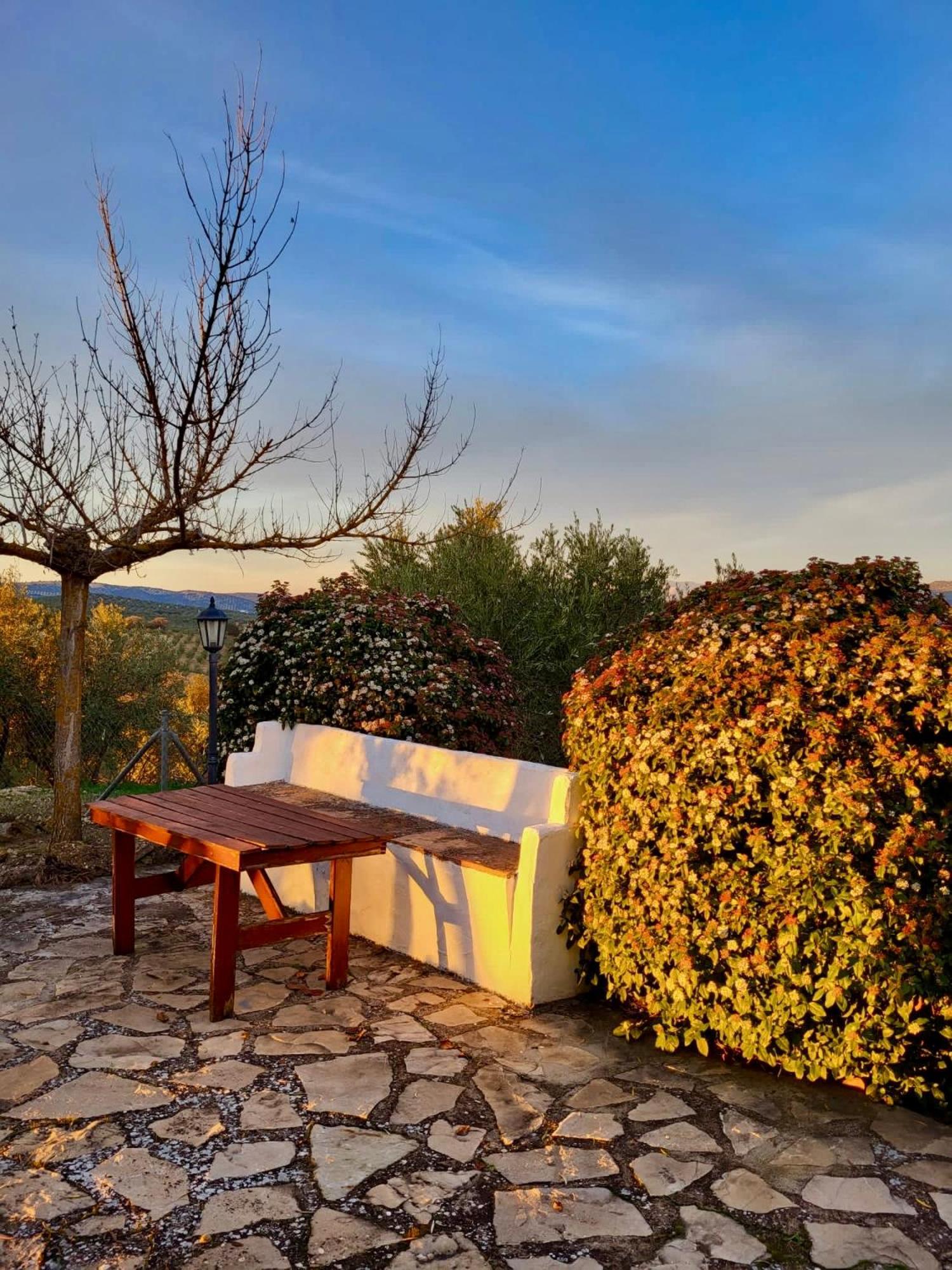 Refugio Andaluz Con Piscina Entre Olivos Villanueva de Tapia Exterior photo