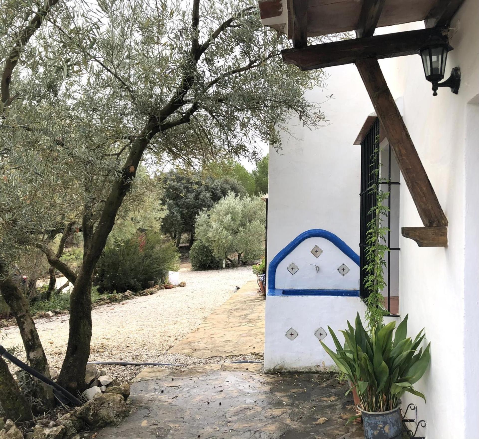 Refugio Andaluz Con Piscina Entre Olivos Villanueva de Tapia Exterior photo