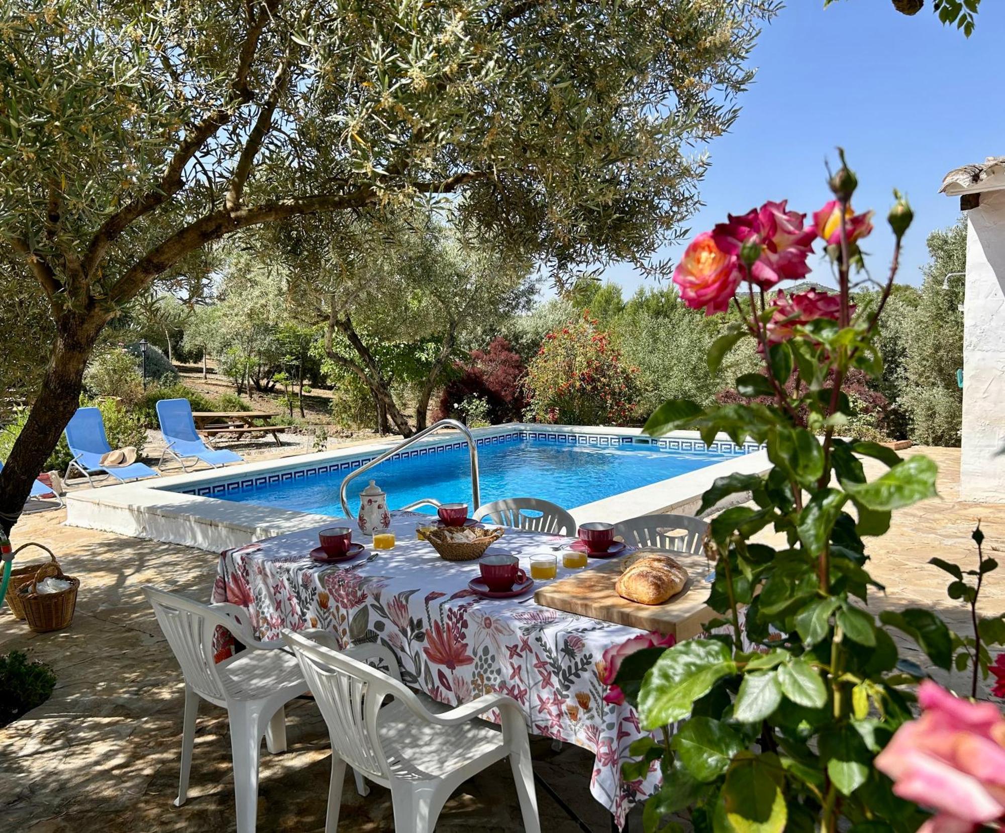 Refugio Andaluz Con Piscina Entre Olivos Villanueva de Tapia Exterior photo