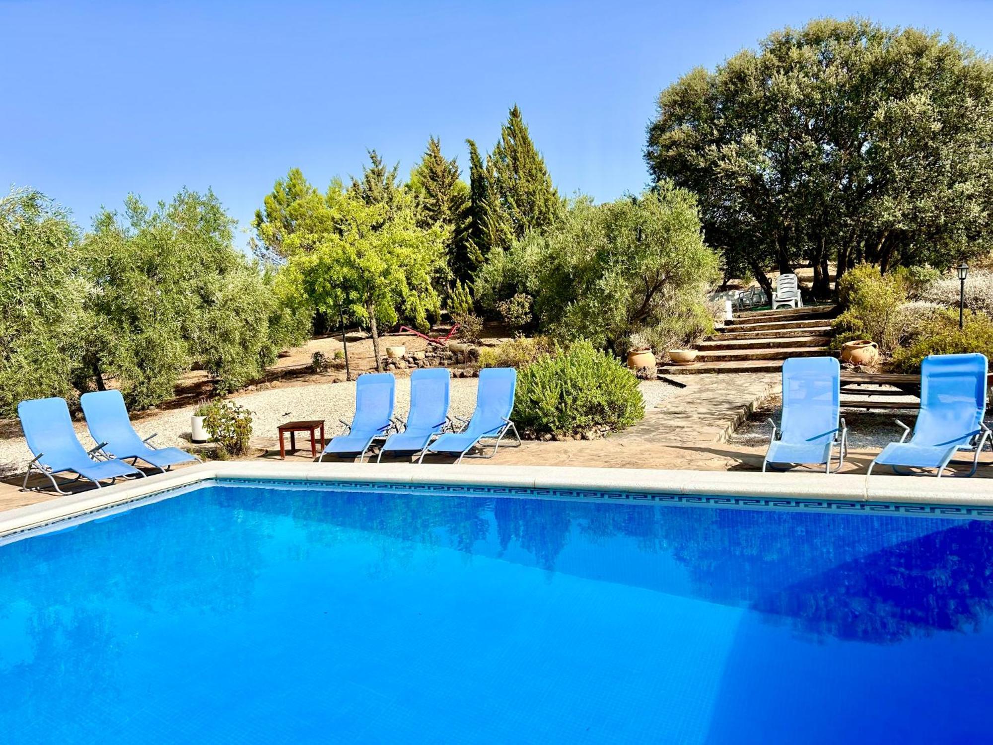 Refugio Andaluz Con Piscina Entre Olivos Villanueva de Tapia Exterior photo